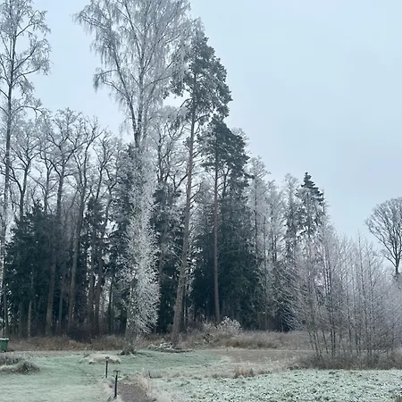 Kuldallika Igloo House And Iglusauna