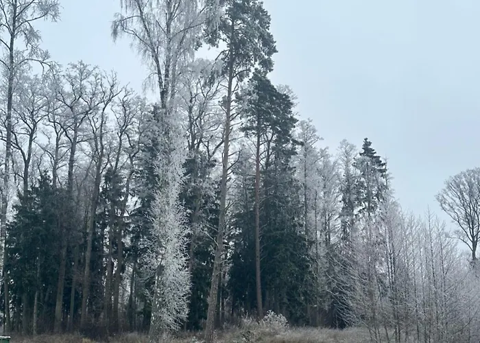 Kuldallika Igloo House And Iglusauna